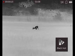 Hikmicro Thunder TQ35C - 80m (🦌)