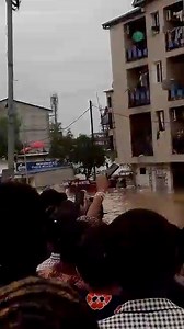 88K views · 1.7K reactions | Ça se passe aujourd’hui Prions pour les kinois les amis, la vie y est difficile. Après 30 ans de guerre, 18 ans de corruption, maintenant la pluie. Même Dieu a refusé dy sauver les églises. Le mal profond. Prions pour que les concerts de ce soir ne soient pas annulés | Zack Mwekassa | Facebook