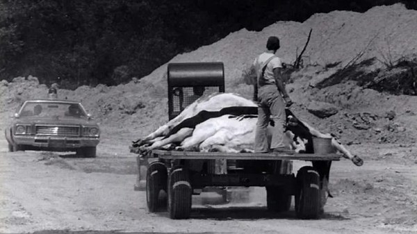 ‘There was no justice’: Farmers afflicted by PBB forced to go to court