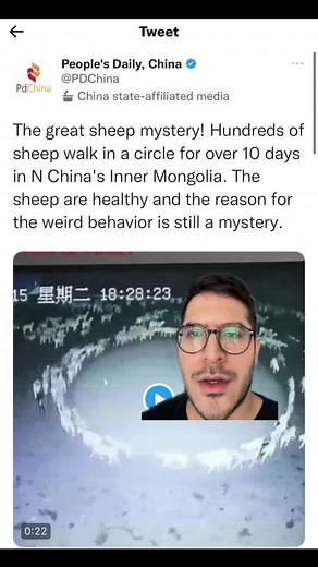 Exploring Sheep Farming: A Green Screen Adventure