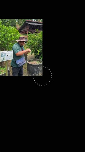  A Big Thank You for Supporting Us in 2025!  Here’s what you can enjoy at Penang Tropical Fruit Farm  #penang #penangtropicalfruitfarm #farmtour #tropicalfruitfarm #fruitfarm #sustainablefarming #tropicalfruit #supportlocal #thankyou #plantingprogram #bye2025 | Penang Tropical Fruit Farm | Facebook