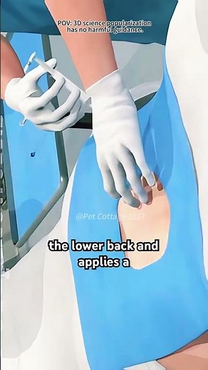 How Spinal Injection Is Given? (3D Animation)