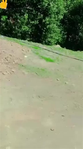 Emotional Songs That Touch the Heart