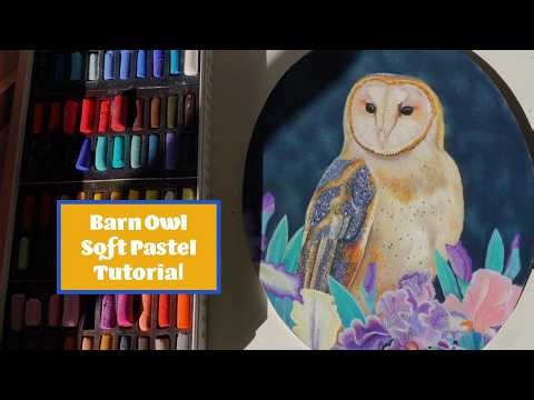 Barn Owl Soft Pastel Tutorial