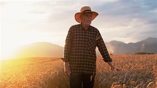 What does 7 Million Look Like?