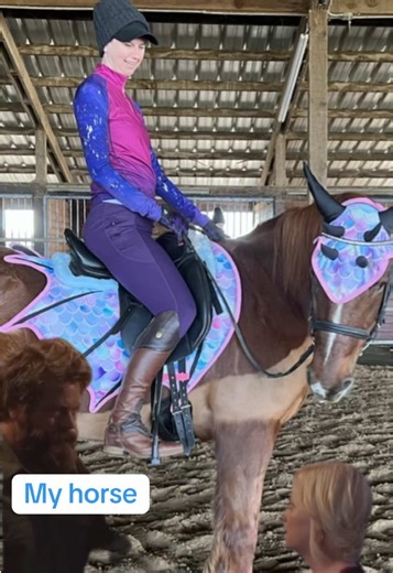 Why We Invest in Horses: Equestrian Life Explained