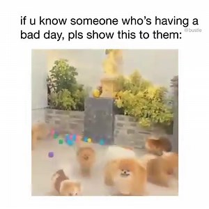 178K views · 1.2K reactions | needed this today  | Bustle | Facebook