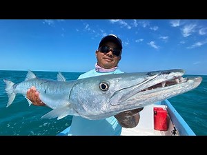 Fishing for GIANT Barracudas in Cancun!