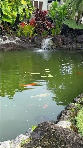 Club Wyndham Bali Hai Villas, Princeville, Kauai, HI. #roadtrekingwithroandlo