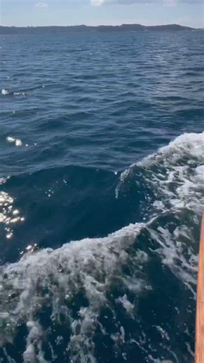 yacht sailing okinawa