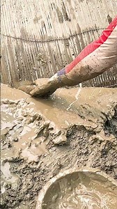 Amazing Muddy Fishing Technique! | Traditional Hand Fishing in Deep Mud #fish #fishing #handfish