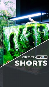 32K views · 409 reactions | Stunning 45H Aquarium 欄 EHEIM classicVARIO Filter #ad #greenaqua #aquascaping #aquascape #plantedtank #plantedaquarium #aquaticplants #amazingnature #inspiration #passion #aquariumplants #aquariumsdaily #interiordesign #aquadesignamano #adahungary #instagood #aquarium #aquariumphotography #aquariumsofinstagram #aquariumlife #aquariums #aquariumhobby #natureaquarium #freshwateraquarium #aquariumfish #aquariumgallery #fyp | Green Aqua | Facebook