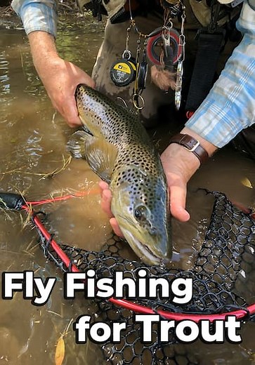 Fly Fishing for Trout (2005)
