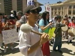 Arizona Immigration Law