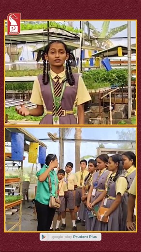 Students Of St. Thereza's Convent High School, Raia Visit Saligao Hydroponics Centre Students from St. Thereza's Convent High School, Raia, visited TFH Produce (The First House Produce), an urban hydroponics centre located at First House, Saligao. | Prudent Media