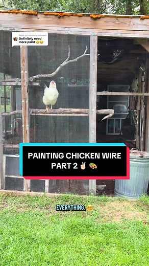Painting Chicken Wire: Tips for a Messy Yet Effective Finish