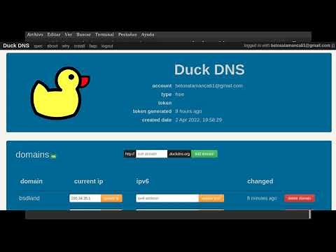 Tu propio dominio con DuckDNS NoIP DynDNS
