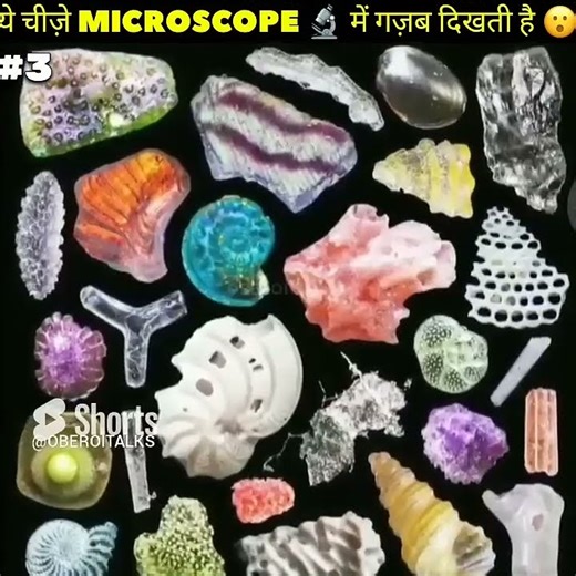 How things look in Microscope 😳 #microscope #experiment #facts