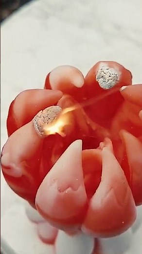 Fire! | TPE Burn test