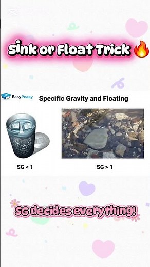 Specific Gravity & Floating Explained 💧 | Sink or Float Made Easy