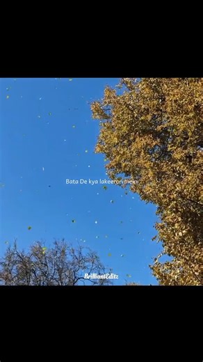 O khuda 🥺 O khuda bata de kya lakiron me likha... hamne to hamne to bas ishq hai kiya • Song