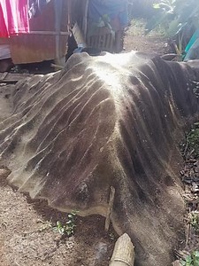 Treasure hunt Shell engrave spot indication markings #fbreels #trendingreels #explorepage #treasurehunt #reels #virals #treasure #everyone | Jm D Compass