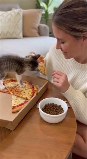 A women jokingly offers a slice of pizza to a cute kitten. #shorts