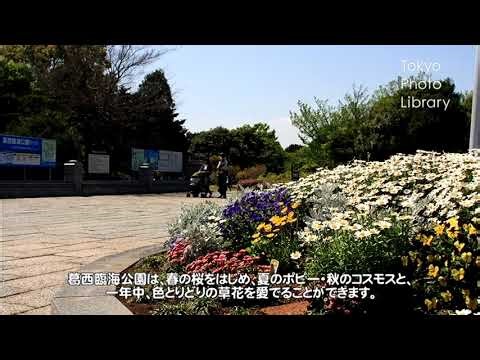 Tokyo MX 2 - 9.4.2026. - Tokyo photo library