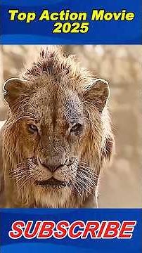 "The Lion King: Simba’s Journey from Lost to King – Explained #TheLionKing #Simba #DisneyMovies