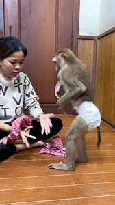 Most Obdient Judee Stand Still & Calm Wait Mom Patiently Wear D I A P E R | The Judy Family