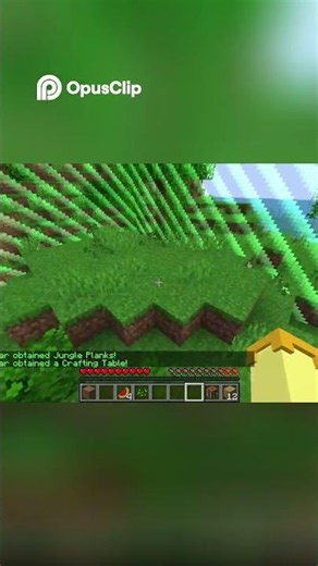How to Expland The World Border in Minecraft #minecraft #gaming #funny #memes #epic #minecraftmemes