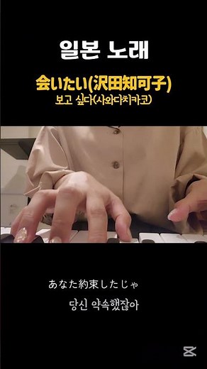 [일본 노래] 보고 싶다 会いたい/沢田知可子(1990)