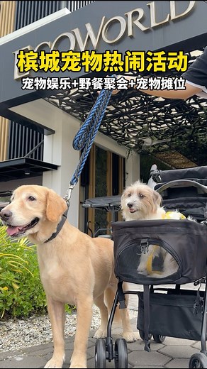 VVIN EVENT on Instagram: "📍槟城Eco Horizon好玩宠物活动【 萌宠狂欢会 Pawrent’s Day Out 🐶 】就在这个周末‼️🔥 #宠物友好去处 这场由 @ecohorizon_ew 举办的宠物特别活动聚集超丰富的活动项目及宠物 & 美食摊位！这里不仅有漂亮的打卡点、宠物娱乐区、还可以带毛小孩一起来野餐🧁😍 💚 宠物摊位 Pet Stalls 💚 野餐好去处 Picnic with Pet 💚 宠物生日派对 Birthday Paw-ty 💚 毛小孩马拉松 Pawathon 💚 美食摊位 Food & Beverage 💚 宠物娱乐区 Pet Playing Corner 💚 狗狗执照申请 Dog License Application 💚 宠物领养 Pet Adoption 💚 幸运抽奖活动 Lucky Draw Session 💚 驻唱音乐 Live Band 【 萌宠狂欢会 Pawrent‘s Day Out 🐶 】 ⛲️ Venue 场地 : EcoWorld Gallery @ Eco Horizon,