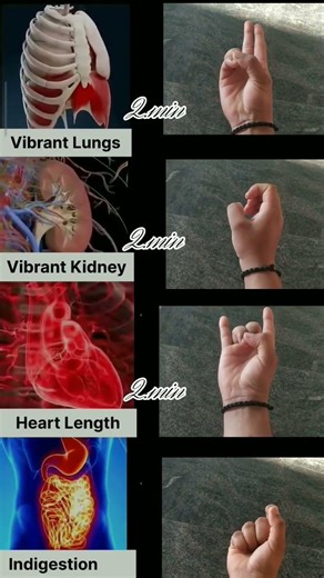 daily mudras #nervoussystemharmony #heartthymus #mealtnheart #yogawithankitvohra #yogamudra #shorts