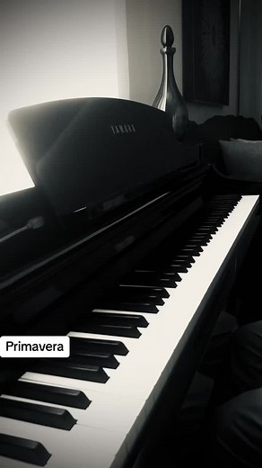 Primavera ludovico einaudi #اكسبلور #piano #music #riyadh #saudiarabia #try