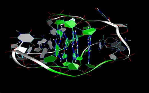 【上传测试】四链螺旋的特殊DNA——G四联体结构模型
