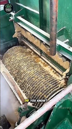 How Sugar s Really Made Inside the Factory Mind-Blowing Process You’ve Never Seen! #trending #viral