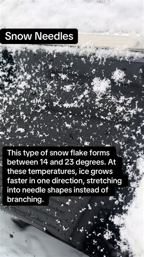 Needle-shaped snow?They’re called snow needles — a real snow crystal that forms when ice grows long instead of branching ❄️ #snow #weather #didyouknow #science