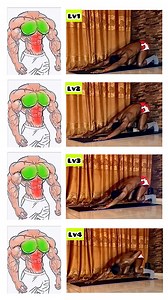 2.7M views · 22K reactions | Mike Tyson Push Ups: Build Shredded Core & Abs At Home #tyson #pushups #coreworkout #absworkout | Doctor CC Fit | Facebook