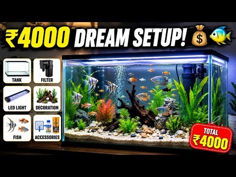 ₹4000 Aquarium Setup 😍 | Complete Fish Tank Tour 2026
