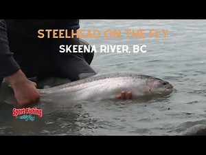 FLY FISHING: SKEENA RIVER STEELHEAD