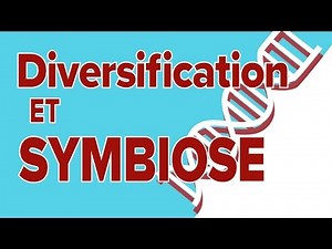 Diversification et Symbiose # 3 - SVT Terminale S - Mathrix