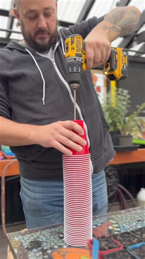 740K views · 15K reactions | Budget seed starting hack! However you go about it, grow a garden! #gardentips #budgetgardening | Roots and Refuge Farm | Facebook