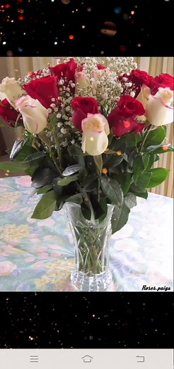 🥀💕🦁Raja Hutan🦁💕🥀 (@lionmonkey35)’s videos with