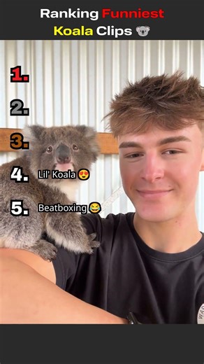 Ranking Funniest Koala Clips!