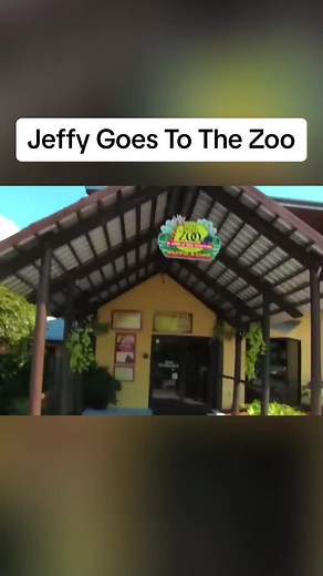 Jeffy Goes To The Zoo