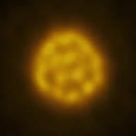 8.5K views · 45 reactions | For the first time, astronomers have captured images of a star (other than our sun) in enough detail to track the bubbling gases on its surface. They captured the images in July and August 2023, using the ALMA telescope in Chile. They analyzed and finally released the images this week (September 10, 2024) of the star R Doradus, 178 light-years away. | Space Science | Facebook