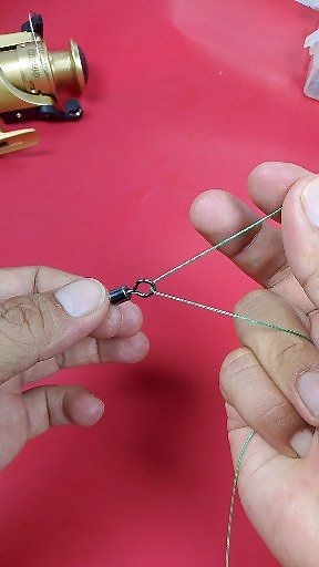 109K views · 842 reactions | Takes seconds to tie… But strong enough for any catch. #FishingHack #EasyKnot #StrongKnot #FishingTips #CatchMoreFish #AnglerLife #FishingGear #OutdoorFishing | Fishing Knots Tutorial | Facebook