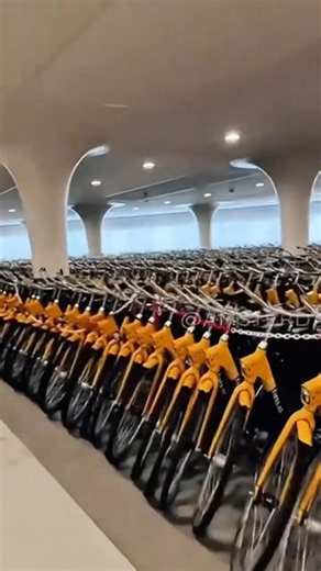 This COUNTRY has MORE BICYCLES than PEOPLE! #facts #bicycle