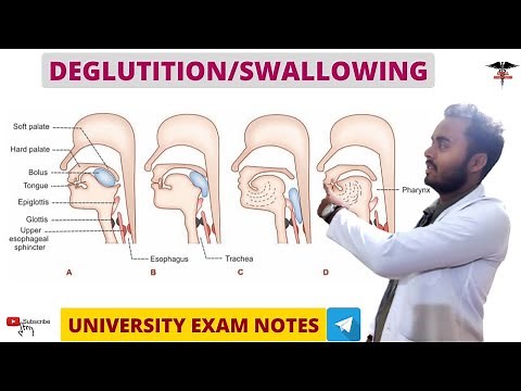 Deglutition || Swallowing || Digestive System physiology